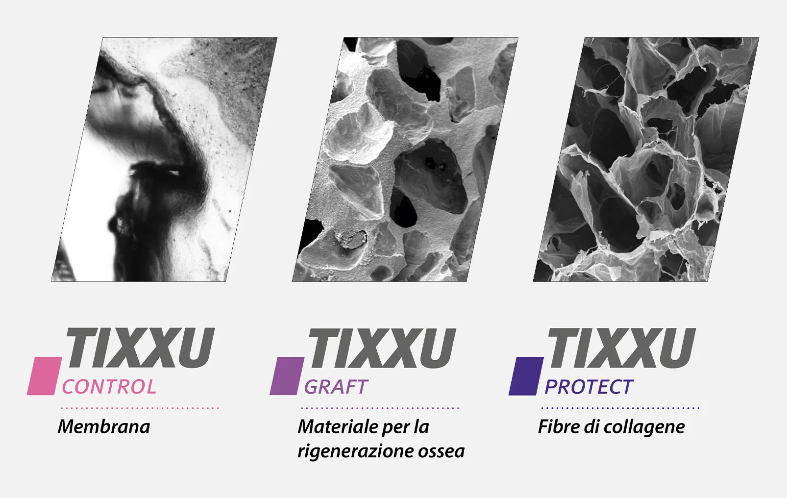 tixxu bredent